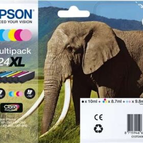Epson T2438 (24XL) Pack de 6 Cartuchos de Tinta Originales - C13T24384011