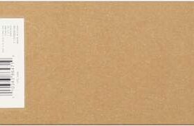 Epson T6061 Negro Photo Cartucho de Tinta Original - C13T606100