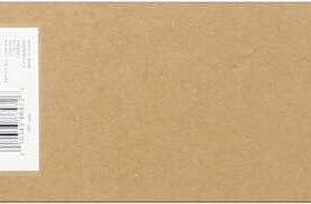 Epson T6062 Cyan Cartucho de Tinta Original - C13T606200