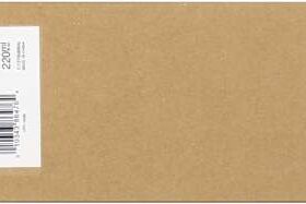 Epson T6066 Magenta Light Vivido Cartucho de Tinta Original - C13T606600