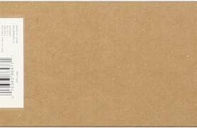 Epson T6067 Negro Light Cartucho de Tinta Original - C13T606700