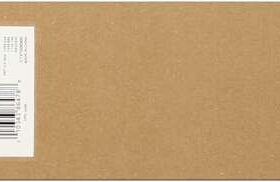 Epson T6069 Negro Light Light Cartucho de Tinta Original - C13T606900