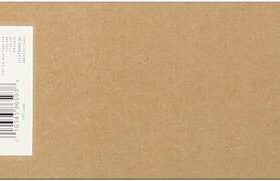 Epson T606C Magenta Light Cartucho de Tinta Original - C13T606C00